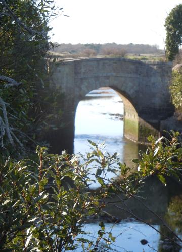 Crédit : Ile d'Oléron Marennes Tourisme