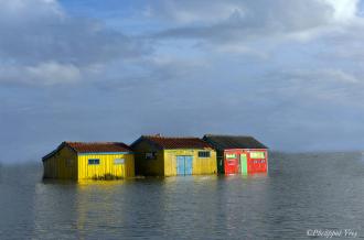 Exposition photo sur le littoral charentais