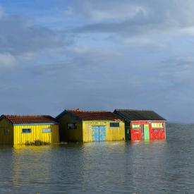 Exposition photo sur le littoral charentais