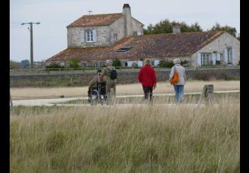 Sentier des Polders