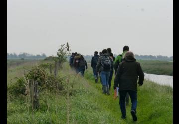 Reserve-Moeze-Oleron-LPO-Visite-guidee