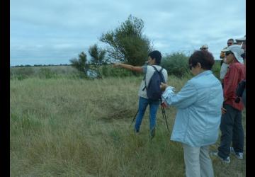 Reserve-Moeze-Oleron-LPO-Le-printemps-des-gorgebleues